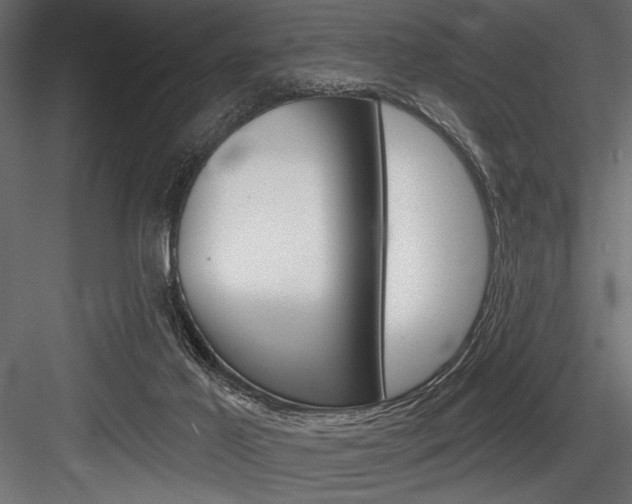 X0000084520021200702230850