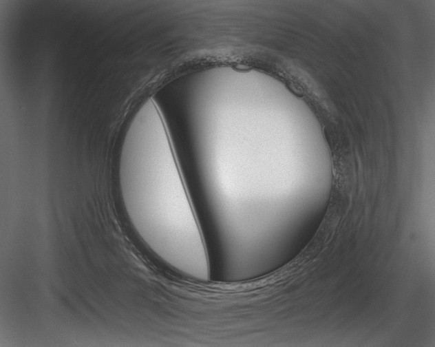 X0000084520023200702230850