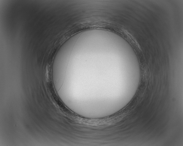 X0000084520026200702230850