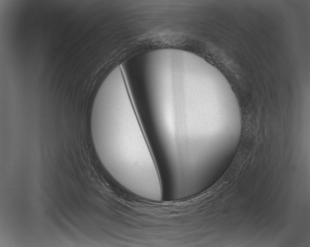 X0000084520027200702230850