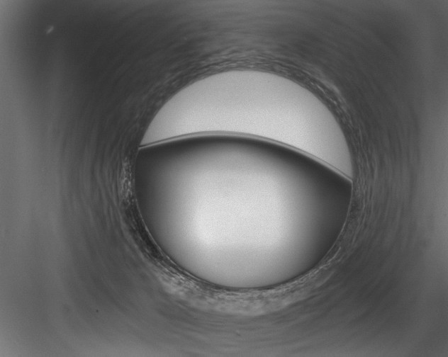 X0000084520029200702230850