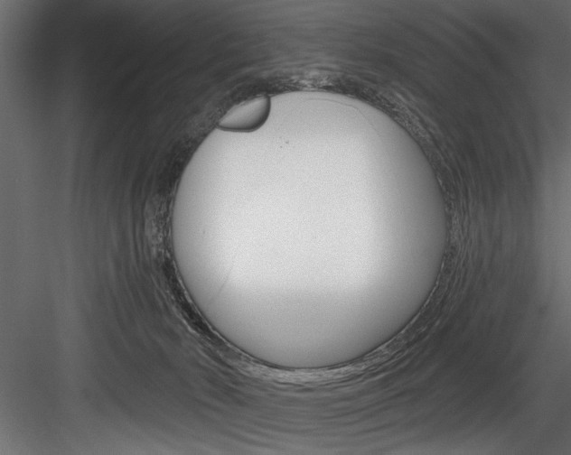 X0000084520030200702230850