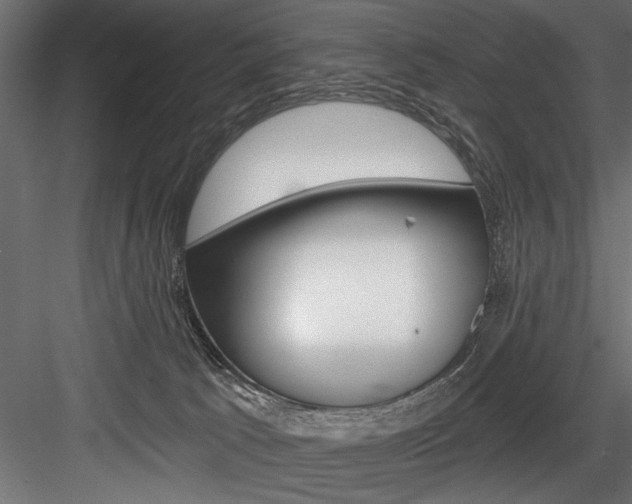 X0000084520033200702230849