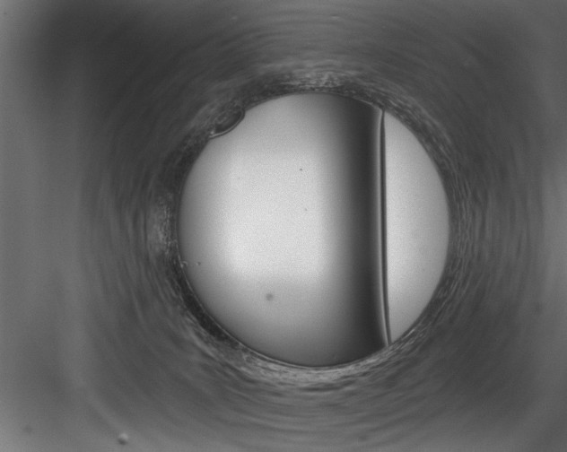 X0000084520035200702230849