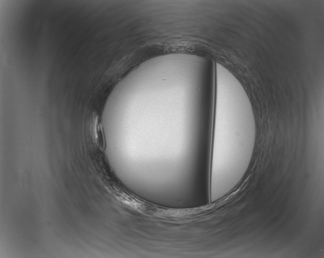 X0000084520041200702230849