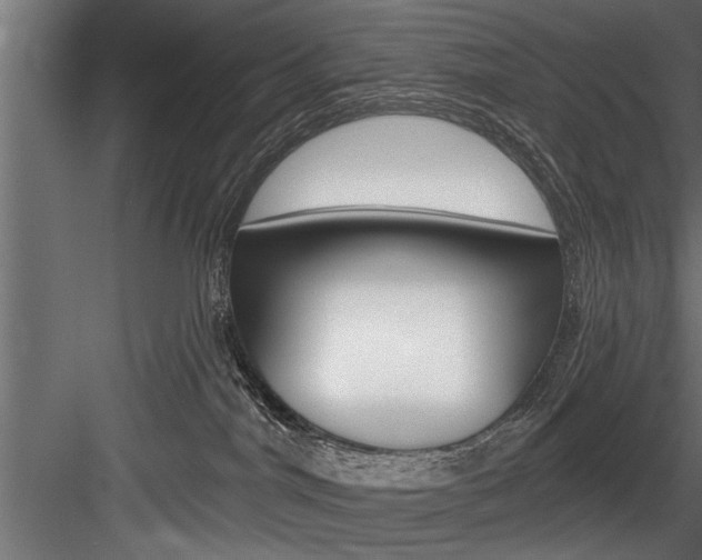 X0000084520044200702230849