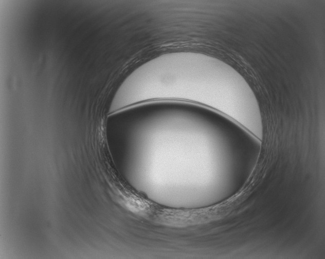 X0000084520045200702230849