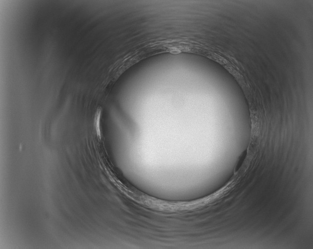 X0000084520047200702230849