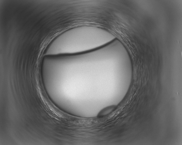 X0000084520049200702230848