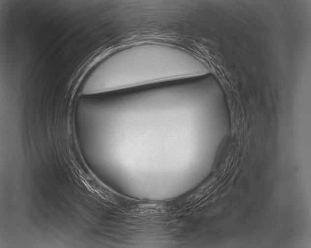 X0000084520050200702230848