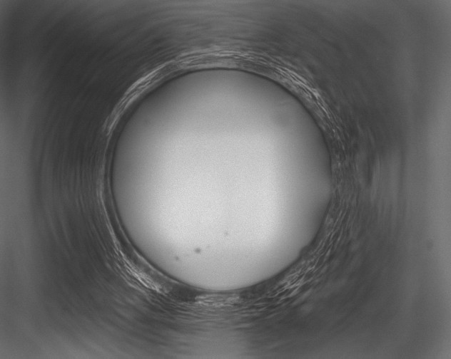 X0000084520051200702230848