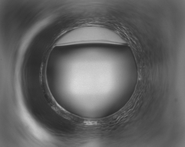 X0000084520052200702230848