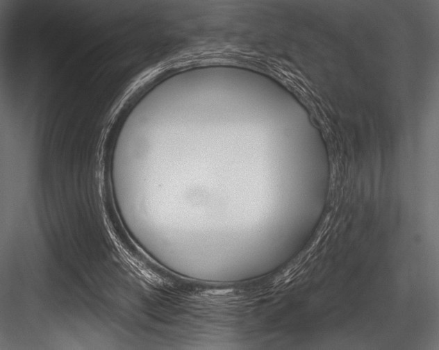 X0000084520054200702230848
