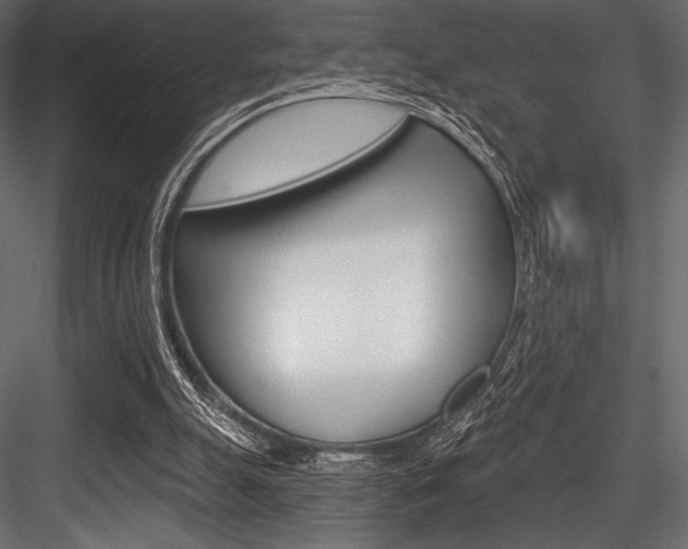 X0000084520055200702230849