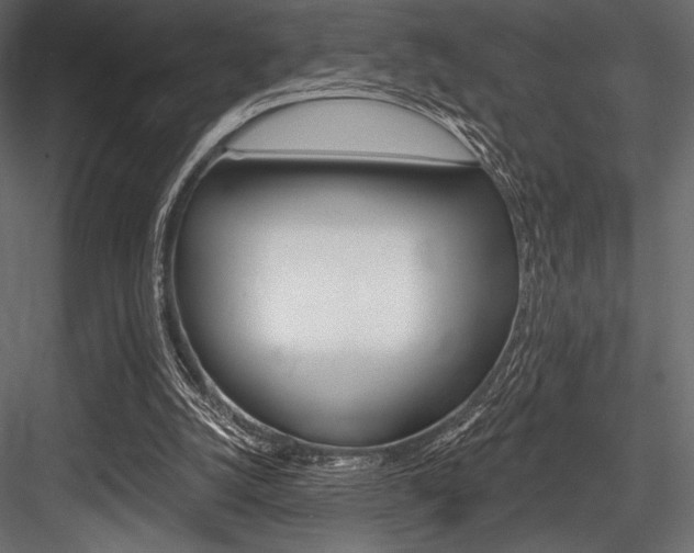 X0000084520056200702230849