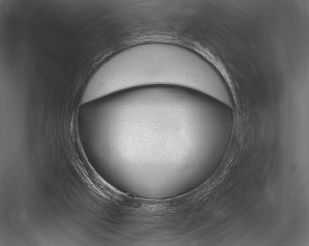 X0000084520057200702230849