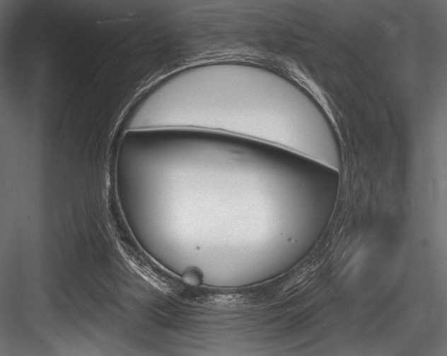 X0000084520059200702230849