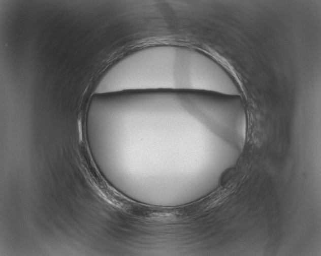 X0000084520061200702230849