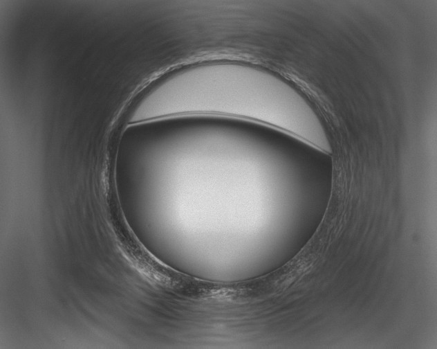 X0000084520064200702230849