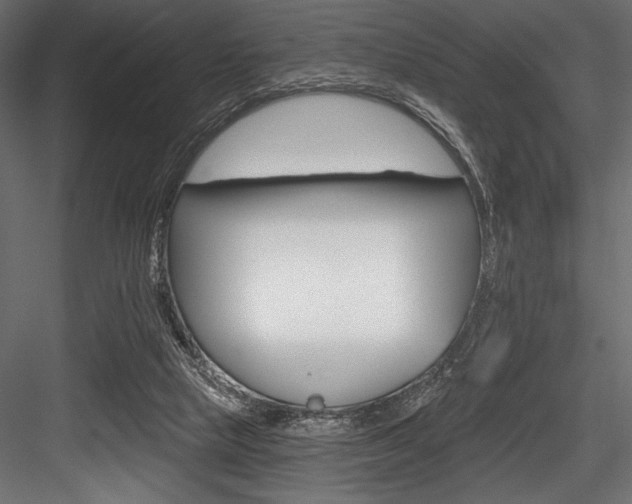 X0000084520065200702230849