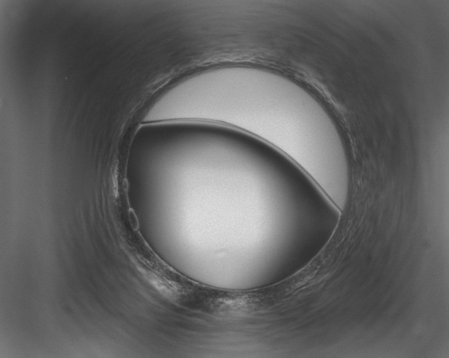 X0000084520068200702230849