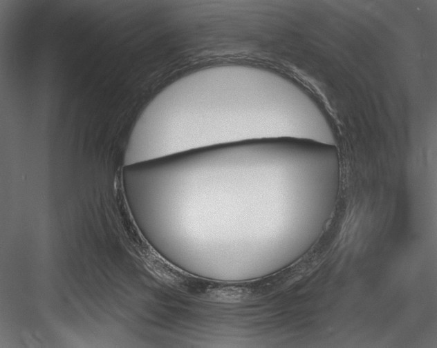 X0000084520069200702230849