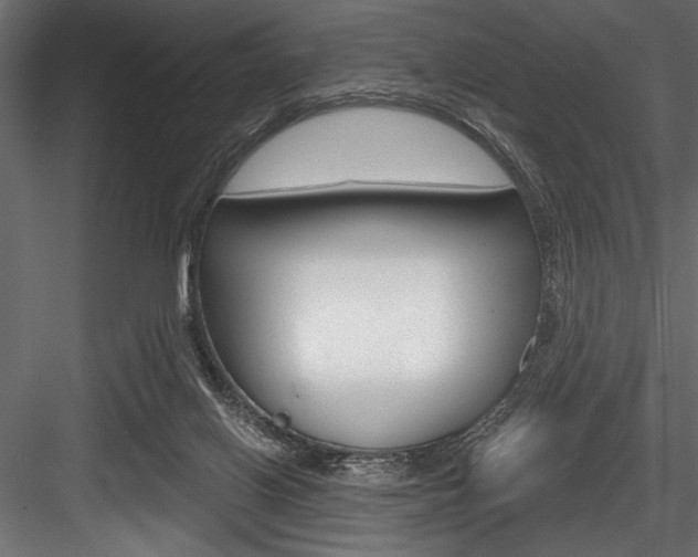 X0000084520070200702230849