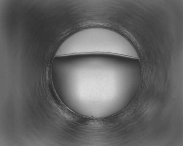 X0000084520071200702230849