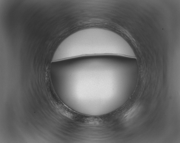 X0000084520073200702230849