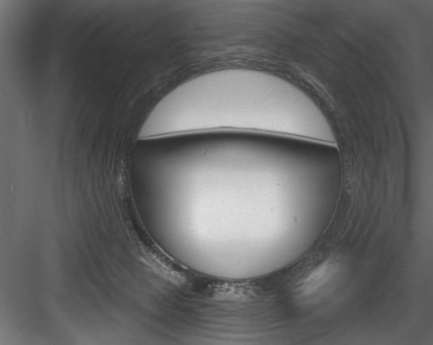 X0000084520077200702230849