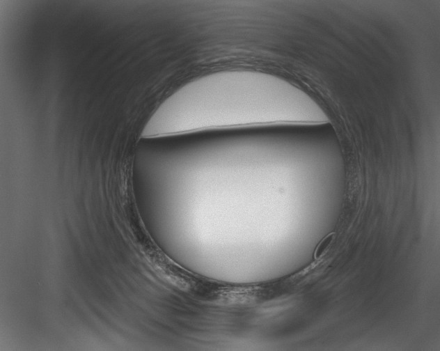 X0000084520078200702230849