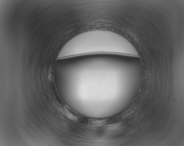 X0000084520081200702230849