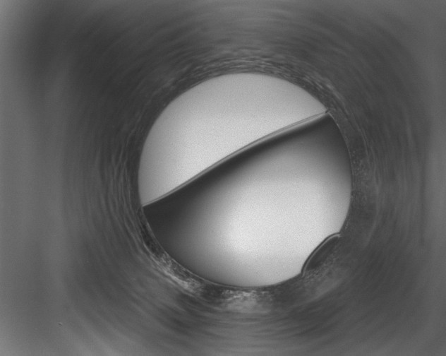 X0000084520083200702230849