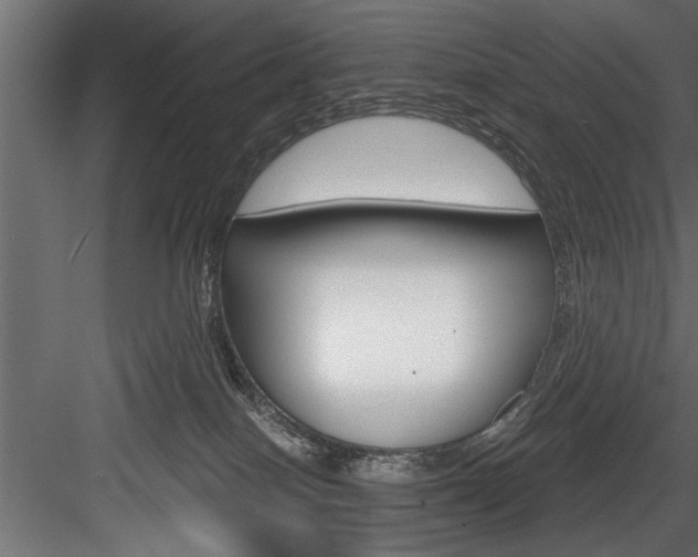 X0000084520086200702230849