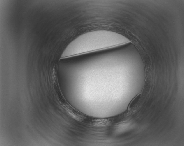 X0000084520087200702230849