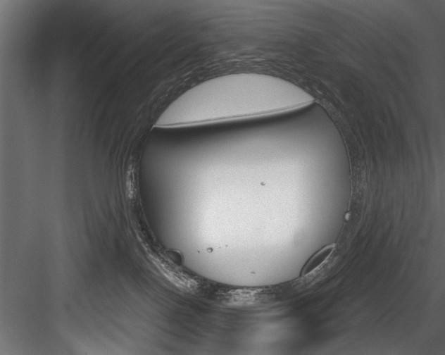 X0000084520090200702230849