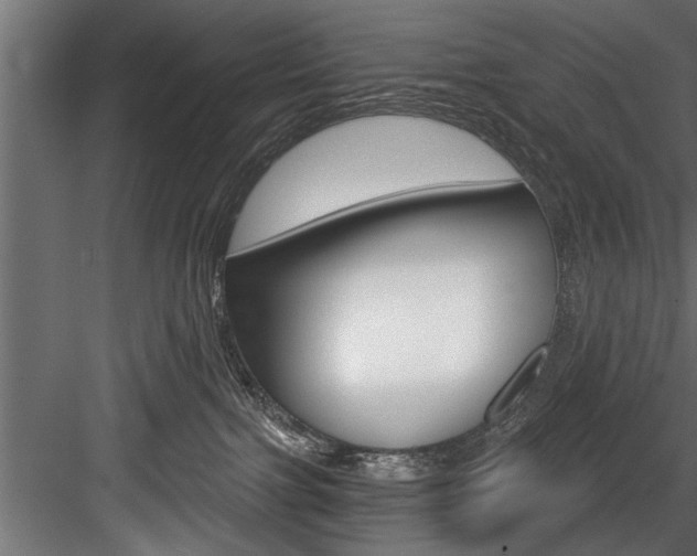 X0000084520091200702230849