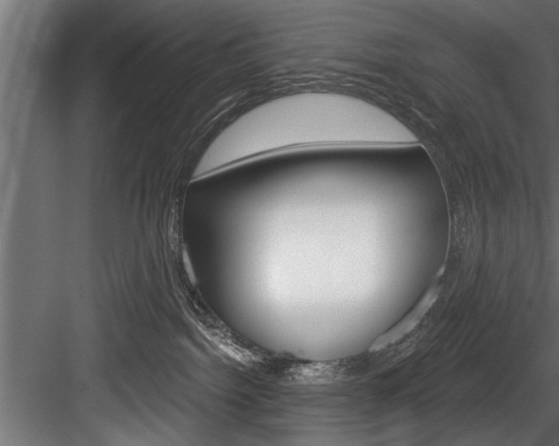 X0000084520092200702230849