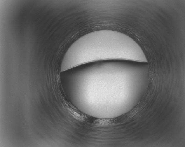 X0000084520093200702230849