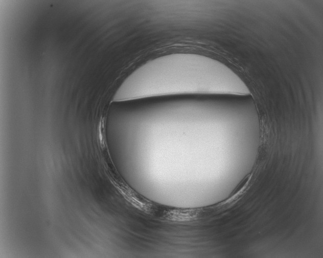 X0000084520094200702230849