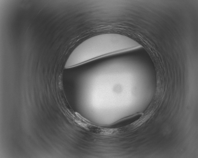 X0000084520096200702230849