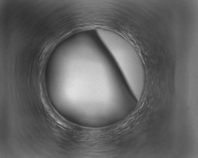 X0000084520097200702230848