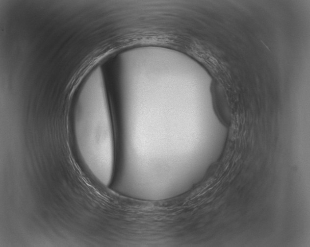 X0000084520098200702230848