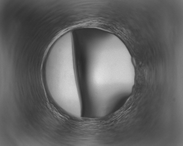 X0000084520100200702230848