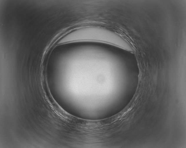 X0000084520101200702230848