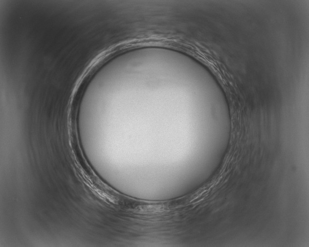 X0000084520102200702230848
