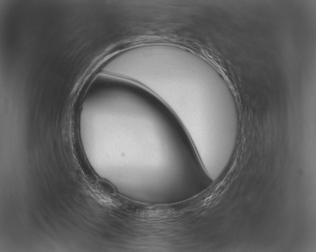 X0000084520103200702230848