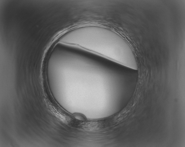 X0000084520104200702230848