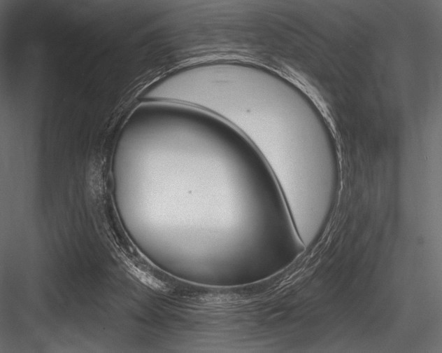 X0000084520105200702230848