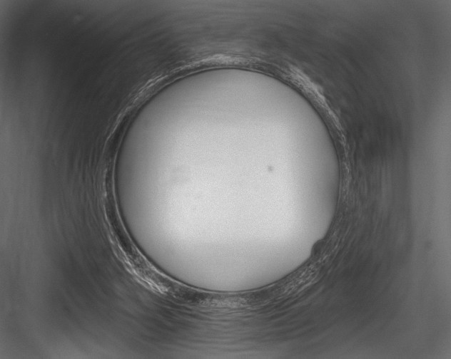 X0000084520106200702230848